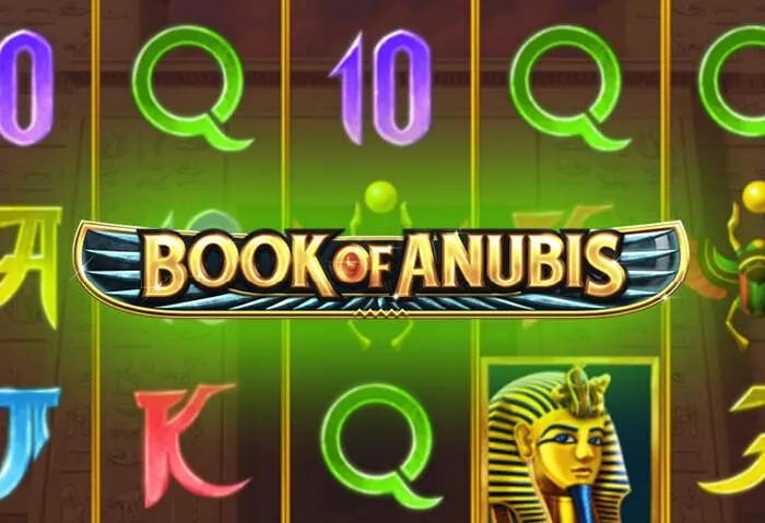 Profitez du Code Sans Dépôt Bonus JVSpinbet Casino exclusif.